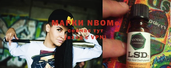 стаф Алзамай