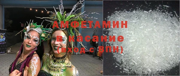 стаф Алзамай