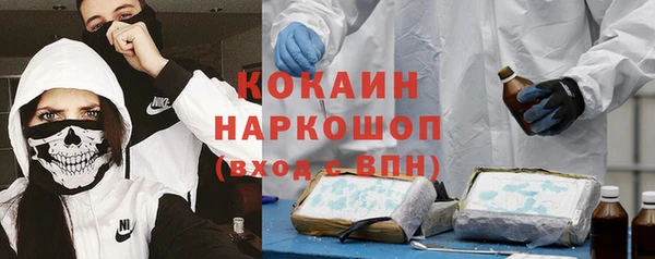 стаф Алзамай