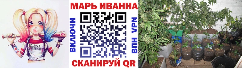 цены   Пыталово  omg как зайти  Бошки марихуана Amnesia 